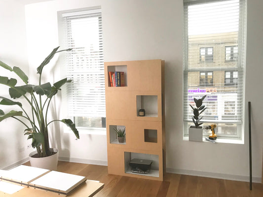 The Cat Case: The Ultimate Modular Bookcase for Cats and Books