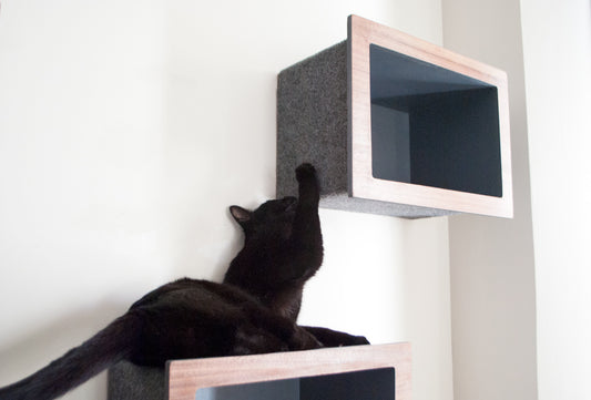 Creating a Cat Playground with Space-Saving Cat Furniture