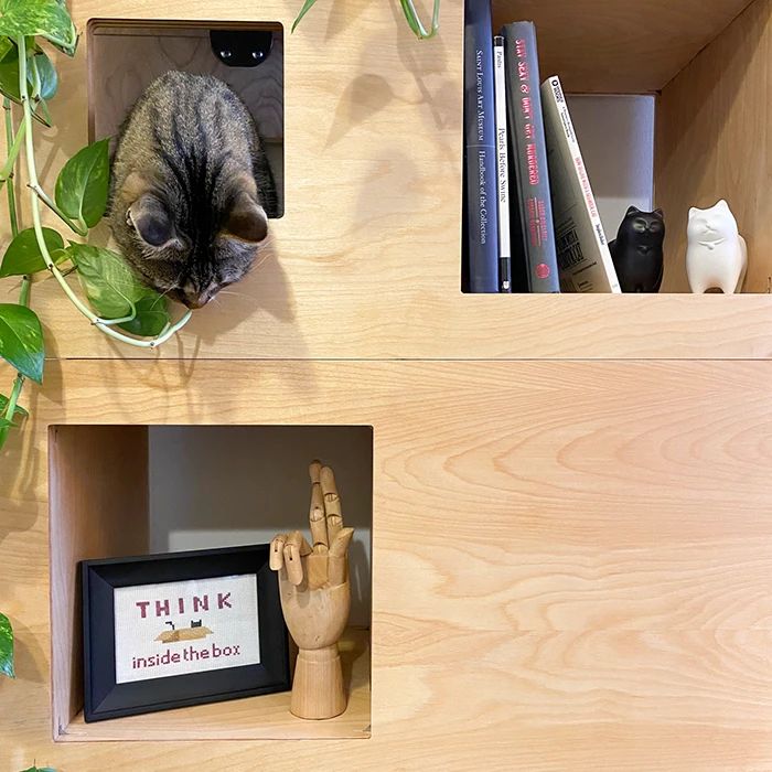 Close-up of a birch Cat Case: a tabby cat in an upper opening, books and a framed 'Think inside the box' stitch below