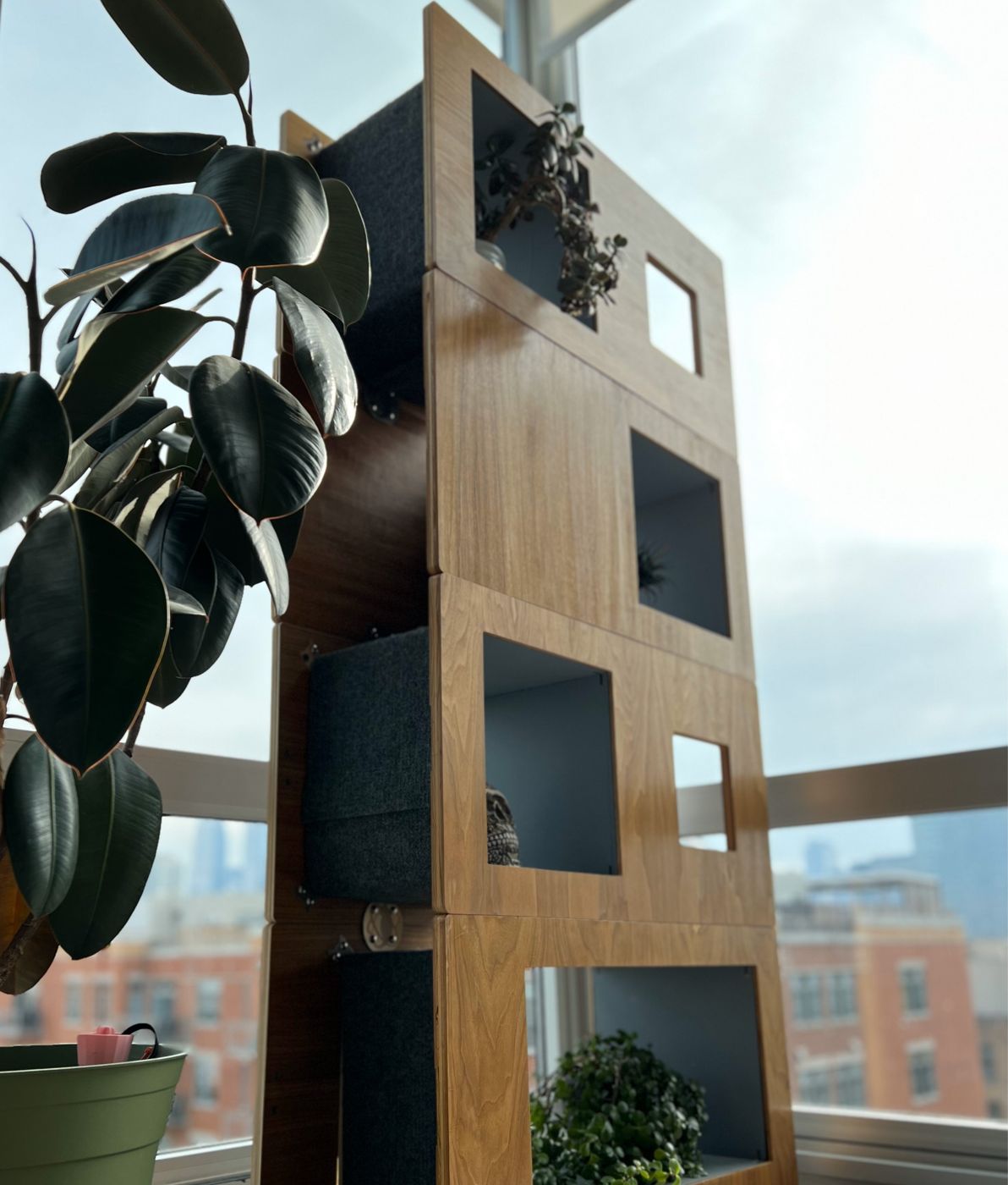 Walnut Cat Case by a floor-to-ceiling window with the Chicago skyline behind, carpeted side and cat-shaped hardware visible