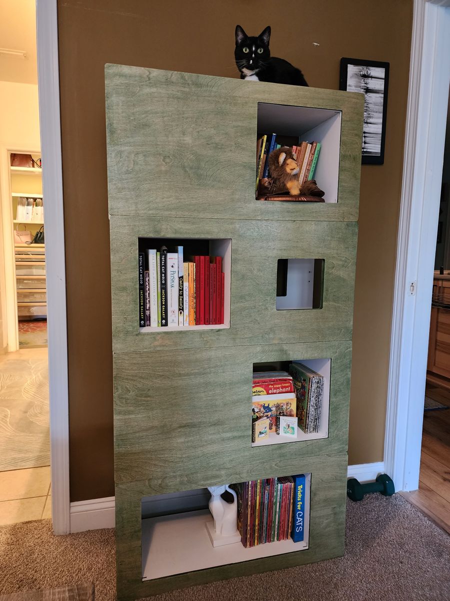 Green-stained Cat Case full of cat books with a tuxedo cat on top