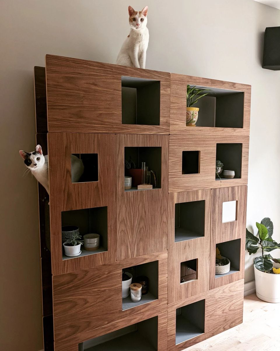 Double Cat Case in walnut, current design, with a white cat on top and another peeking around the side