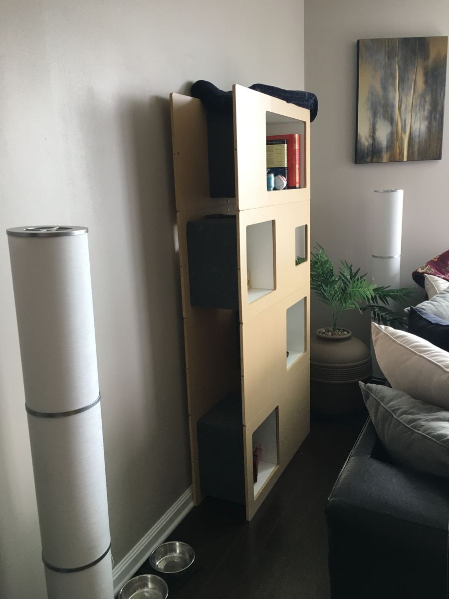 Maple Cat Case in a living room with a cat perched on top